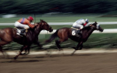 Cloud Computing: Great at Horse Races – and Streamlining Your Company