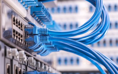 WiFi or Ethernet? The Choice Still Matters for Your Small Business.  