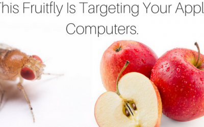 Fruitfly Malware Targets Apple Computers.