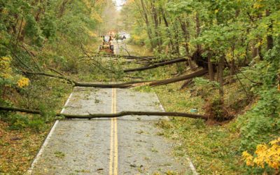 We’ll Will Help You Recover From Tropical Storm Philippe