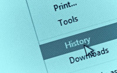 The Changing Face of Browser Histories: Understanding and Managing the Privacy Concerns of Business Browser Histories