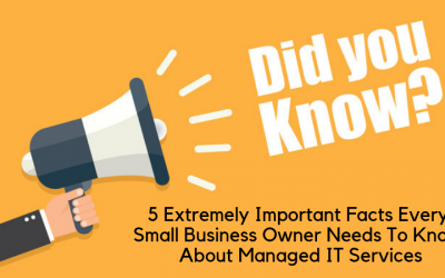 5 Extremely Important Facts Every Small Business Owner Needs To Know About Managed IT Services