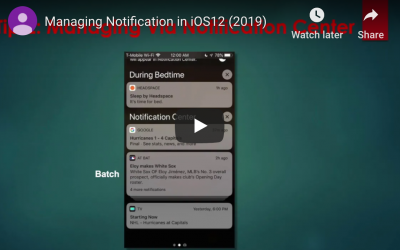 Managing Your iPhone and iPad Business Notifications (User Guide)