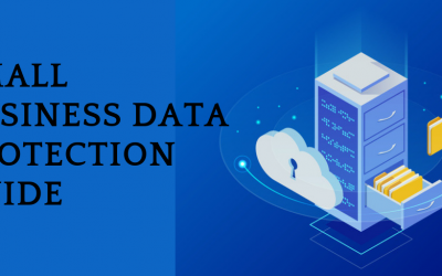 Small Business Guide to Protecting Critical Data